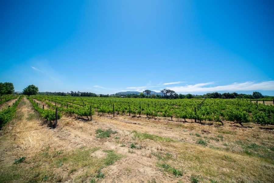 0 Bedroom Property for Sale in Val De Vie Estate Western Cape